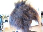 Damaged Hair